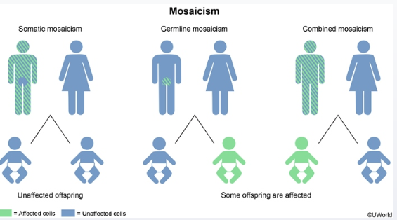 Mosaicismo Germinal