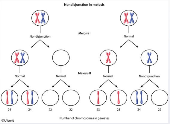 Genetic Disorders (Disorders of *Sexual Development (dropped image link…