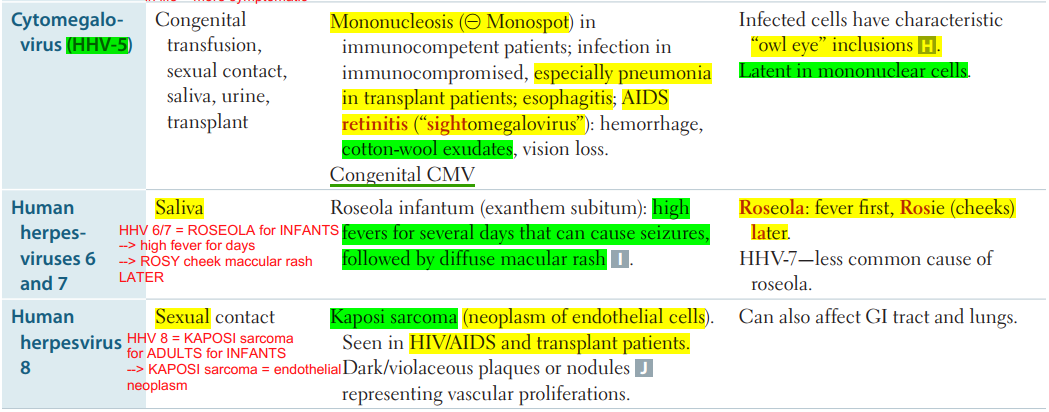 Viruses - HHV Family (*HHV = Human Herpes Virus Family 8 subtypes go…