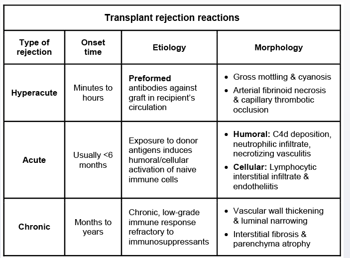 immunology-organ-transplantation-rejections-organ-transplant