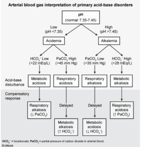 Acid-Base Disorders and Physiology (*Practical Acid-base determination…