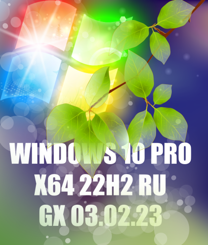 Windows 10 PRO 22H2