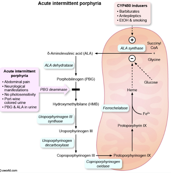 Metabolism - Enzyme Disorders (*Enzyme-Deficient Genetic Disorders…