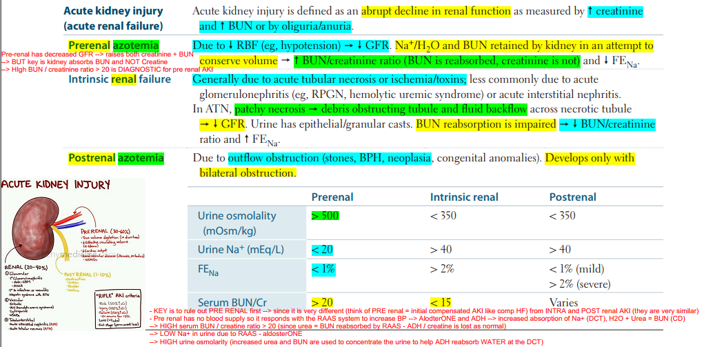 urology-nephrology-urolithiasis-pathoma-urology-nephrology