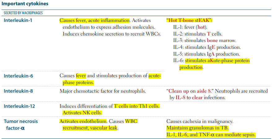 Immunology - Cytokines (5 Types Of Cytokines Interleukins TNFs = Tumor…