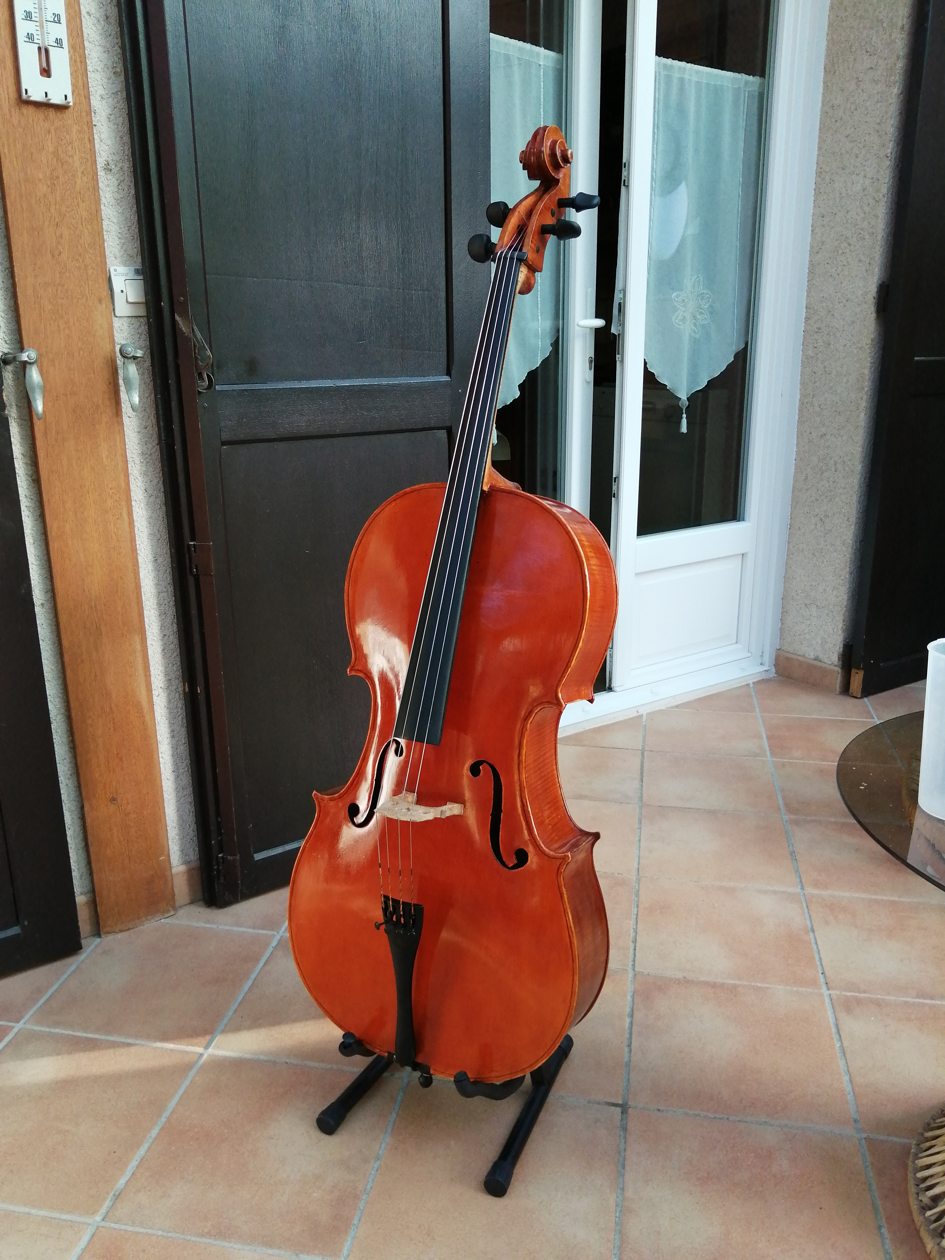 rencontre de violoncelle de moita