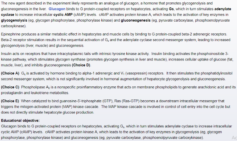 glucagon as beta blocker antidote