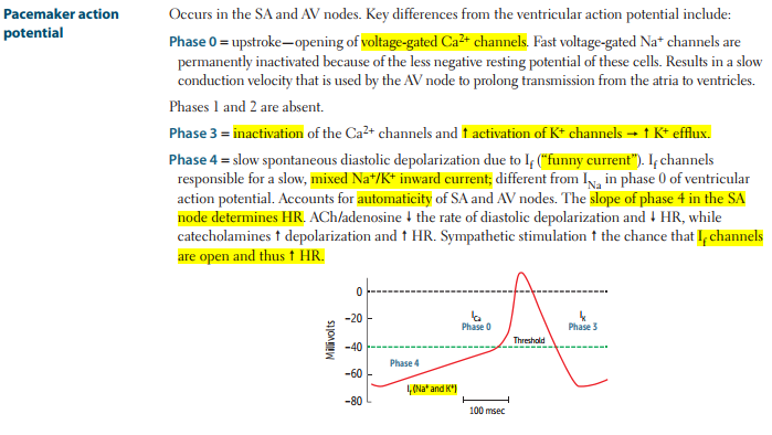 Cardiology - Physiology / Anatomy (Normal Heart Chamber Pressures…