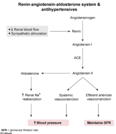 Cardiology - Physiology / Anatomy (Normal Heart Chamber Pressures…